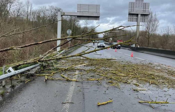 Fortes rafales de vent sur l’Oise, arbres tombés, trains arrêtés entre Creil et Compiègne