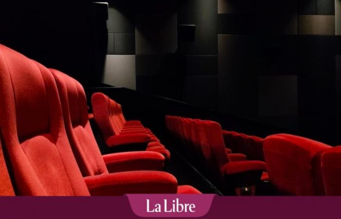 Voici ce que les Belges sont allés voir au cinéma en 2024… ou pas