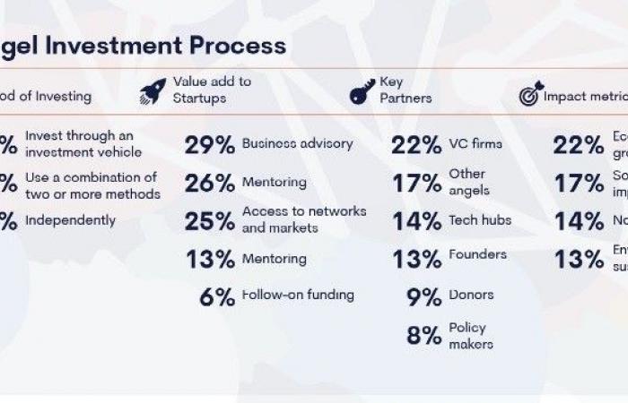 En Afrique, 64 % des business angels investissent moins de 25 000 $ par transaction