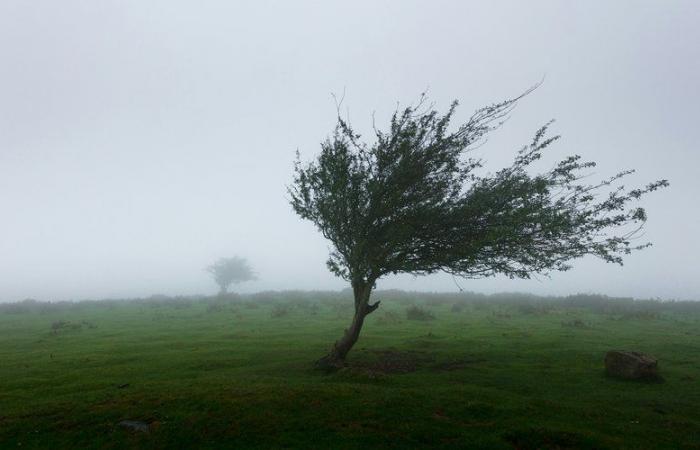 14 départements en alerte orange, la dépression circule rapidement mais intensément de la Vendée aux Ardennes en passant par l’Ile-de-France