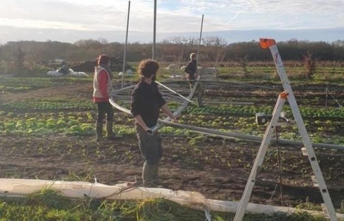 Après la tempête, l’appel à l’aide pour une ferme bio en Loire-Atlantique