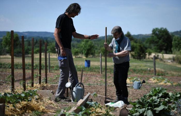 Dans les hôpitaux ou les Ehpad, les jardins thérapeutiques fleurissent