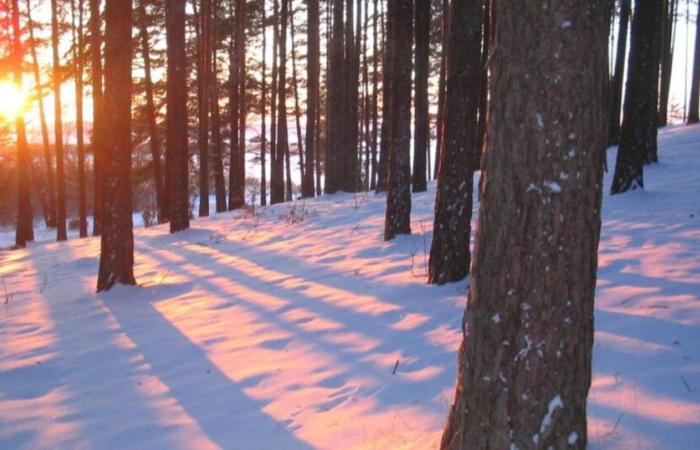 Risque de neige au nord mercredi et jeudi : incertitudes sur la situation