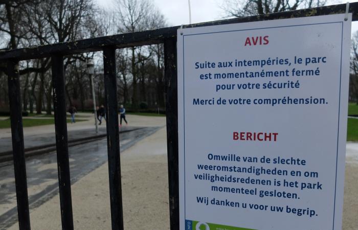 plusieurs rivières en alerte pré-inondation, parcs fermés à Bruxelles et divers incidents