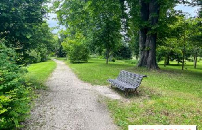 Vents forts à Paris : fermeture des parcs, jardins et cimetières ce lundi 6 janvier 2025