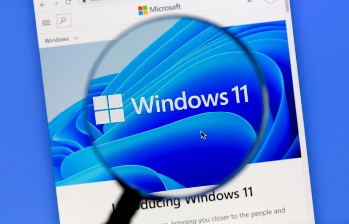 Windows 11 atteint une empreinte mémoire record sous Tiny11