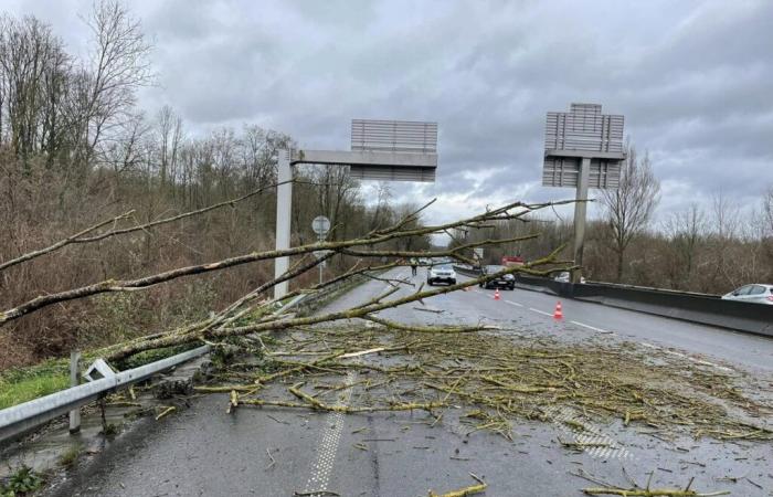 des arbres sont tombés sur cette route très fréquentée de l’Oise