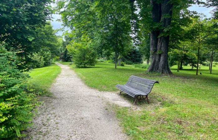 Vents forts à Paris : fermeture des parcs, jardins et cimetières ce lundi 6 janvier 2025