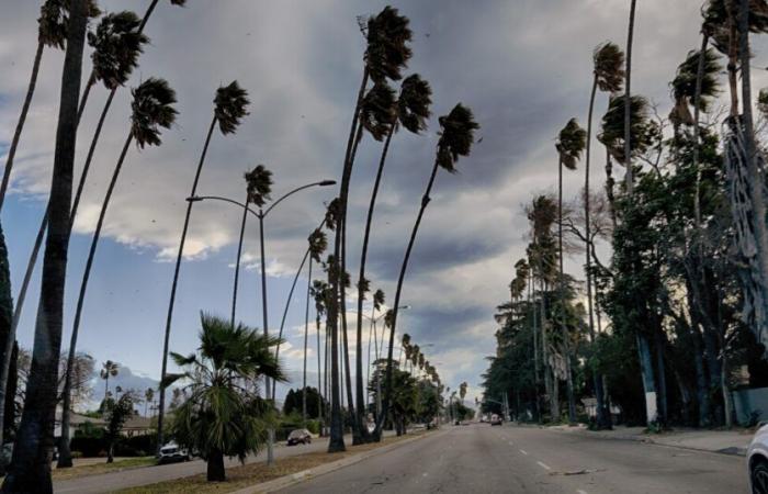 “SoCal se prépare à une tempête de vent” potentiellement mortelle “. Voici ce que vous devez savoir