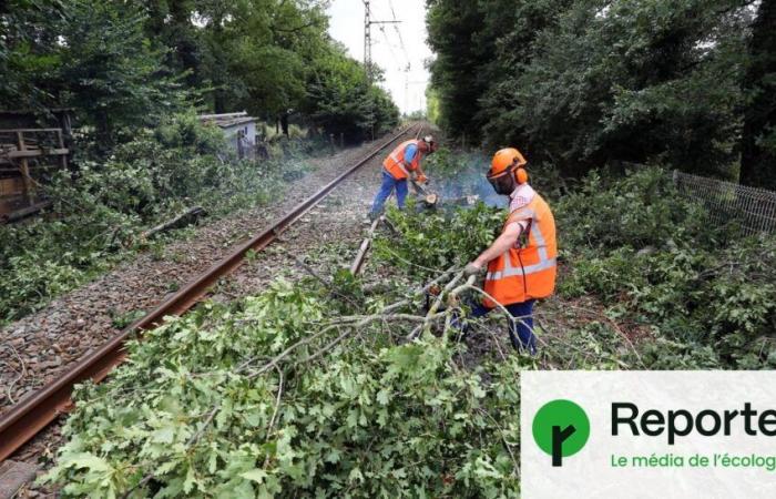 excès de précaution ou moindre mal ?