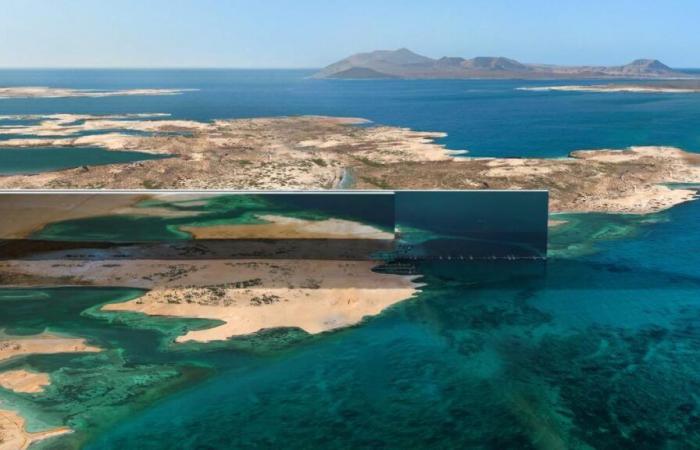 les zones d’ombre inquiétantes derrière le gigantesque projet Neom