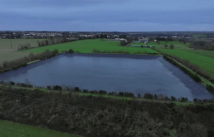 le cadavre du chien retrouvé dans le plan d’eau, la piste accidentelle reste privilégiée