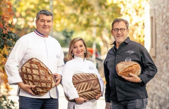 Quel score pour le lancement de « La meilleure boulangerie de France » saison 12 sur M6 ?