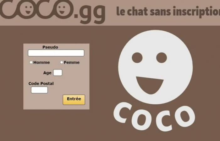 Le gérant du site à scandale Coco.gg, mis en cause dans plusieurs affaires d’agression et de viol, en garde à vue