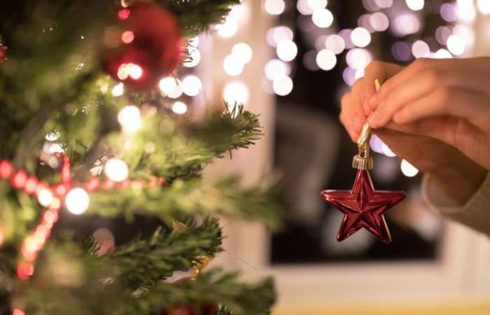 En Belgique, la ville de Gand invite les habitants à manger leur sapin de Noël et est recadrée