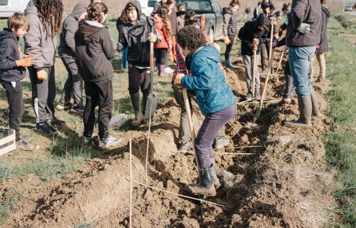 Comment le 1er Plantathlon, dans l’Aude, va attirer 200 participants