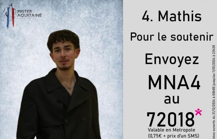 Qui sera le prochain Monsieur Aquitaine ? Réponse lors du scrutin samedi 11 janvier à Bordeaux