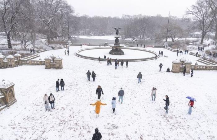 Washington sous la neige, -18°C… Photos de la tempête hivernale aux Etats-Unis