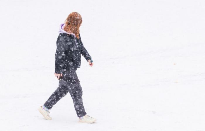 plusieurs centimètres de neige attendus mercredi et jeudi