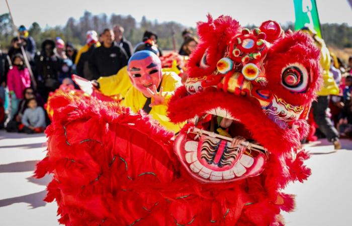 Nouvel An chinois – Lunaire 2025 à Triel-sur-Seine, dans les Yvelines (78) : défilé et animations !