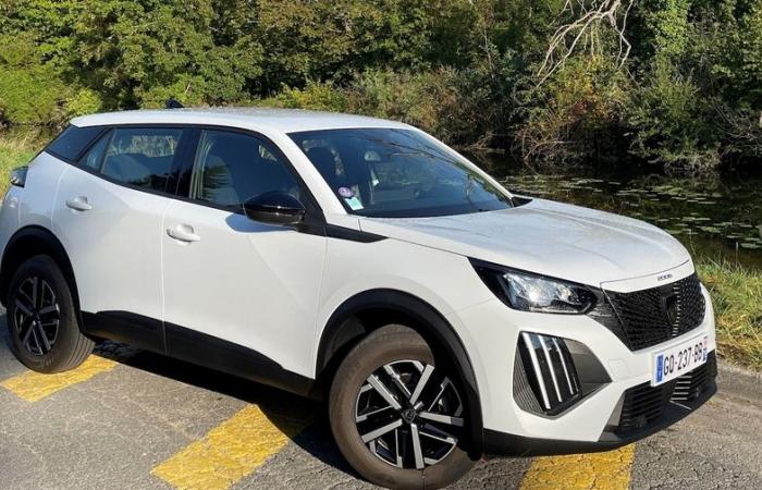 En France, le Peugeot 2008 reste le roi des SUV