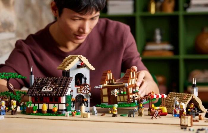 Chaque ensemble d’icônes LEGO prend sa retraite en 2025 et au-delà – janvier