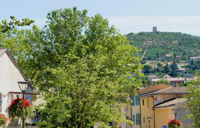 Quelles communes des Alpes-de-Haute-Provence se démarquent ?