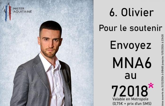 Qui sera le prochain Monsieur Aquitaine ? Réponse lors du scrutin samedi 11 janvier à Bordeaux