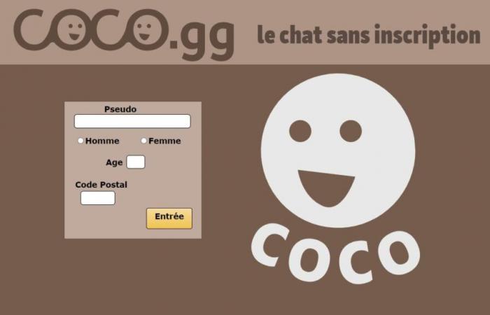 le gérant du site Coco placé en garde à vue