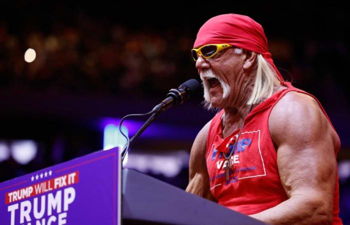 La WWE n’a pas besoin de Hulk Hogan