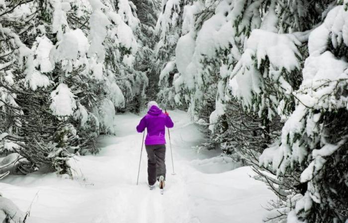 6 beaux endroits pour faire du ski de fond gratuit au Québec