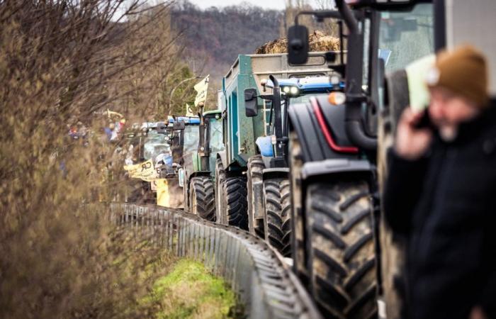 “On va s’arrêter là, les agriculteurs rentrent chez eux”, la Coordination rurale abandonne son mouvement à Paris