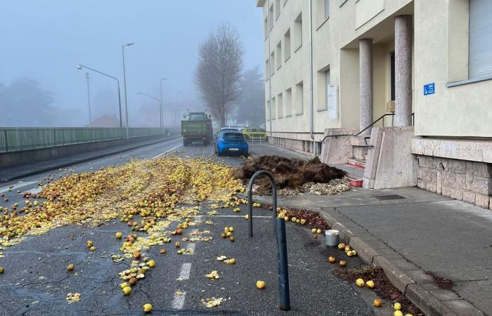 La Coordination rurale 05 déverse des bennes de pommes pourries et de foin devant les services de l’Etat