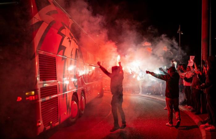 Une année acidulée en images