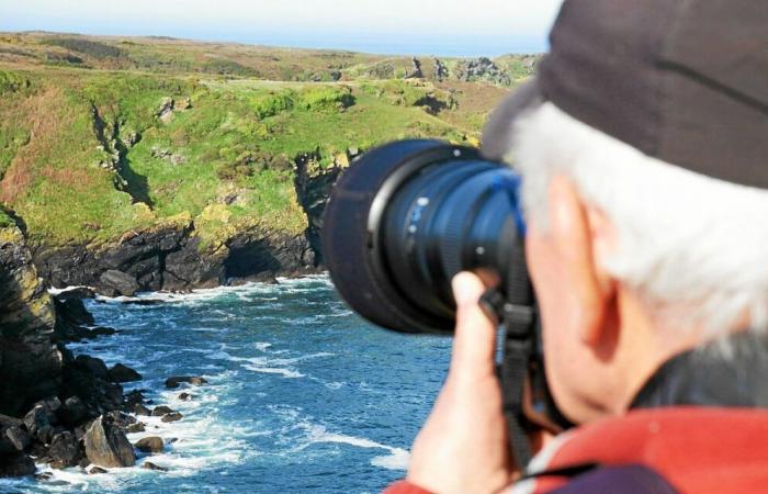 A la Réserve Naturelle de Groix, l’année 2025 prend son envol avec les oiseaux