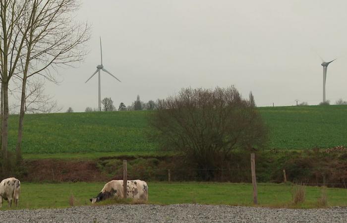 «Nous avons un potentiel éolien», la Mayenne championne des énergies décarbonées