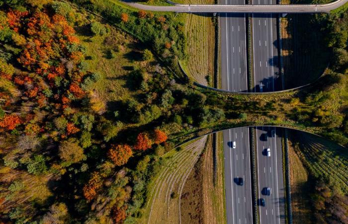 Depuis le 1er janvier, les prix de cette autoroute en France se sont envolés