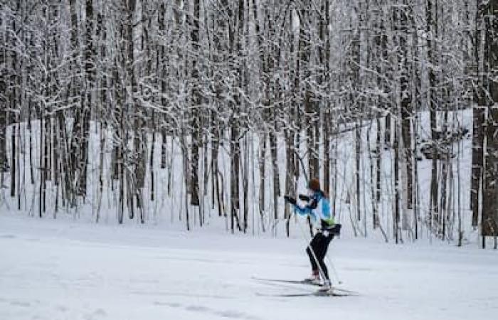 6 beaux endroits pour faire du ski de fond gratuit au Québec