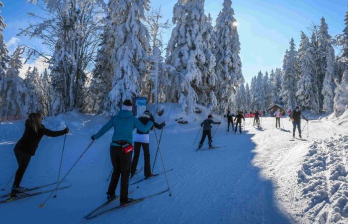 Le plan ski jeunes revient pour 7 500 collégiens savoyards