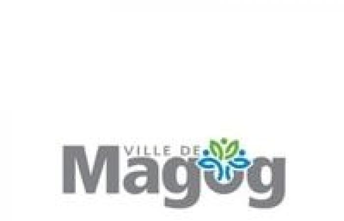 Graphiste | Ville de Magog