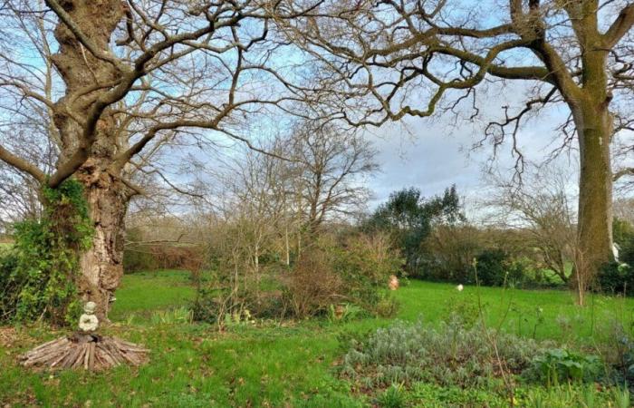 pour préserver ses arbres et ses oiseaux, une habitante signe un contrat avec la LPO