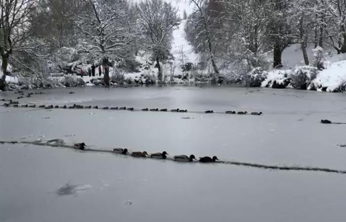 Météo au Royaume-Uni : incidents majeurs déclarés après de graves inondations – la neige et la glace perturbent les déplacements