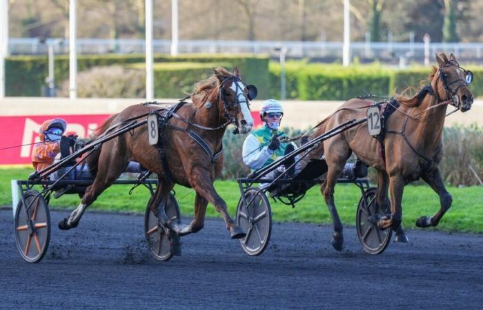 une première pour Iacynthe Didjeap et Jonathan Vanmeerbeck