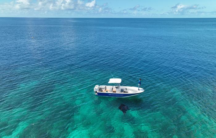 une Suissesse explore l’océan aux Seychelles