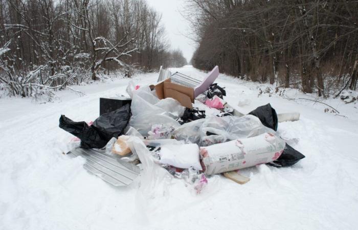 Déchets déversés en vrac sur la voie publique