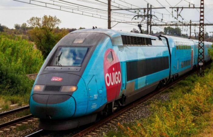 Les syndicats alertent sur l’état des trains TGV Ouigo : Actualités