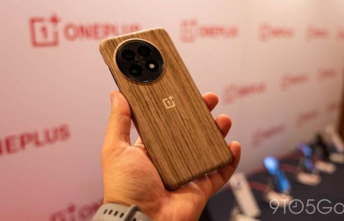 OnePlus 13 simule le Qi2 avec ces coques et chargeur magnétique