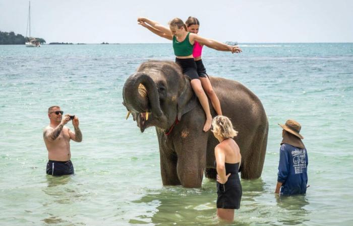 Un étudiant espagnol tué lors d’une expérience touristique en Thaïlande