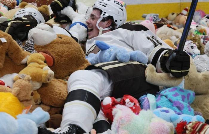 102 343 peluches lancées en plein match, le spectaculaire record du monde pour les Hershey Bears