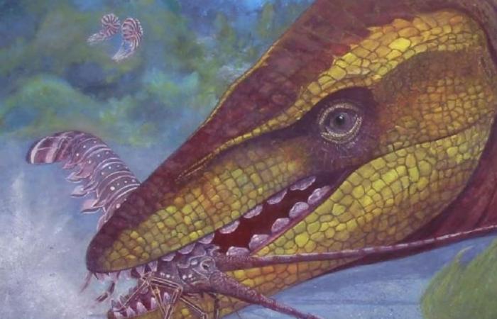 Découverte d’un ancien reptile marin unique avec des dents en forme de quille